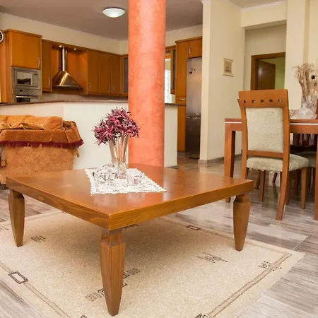 Veta's Spacious Apartment